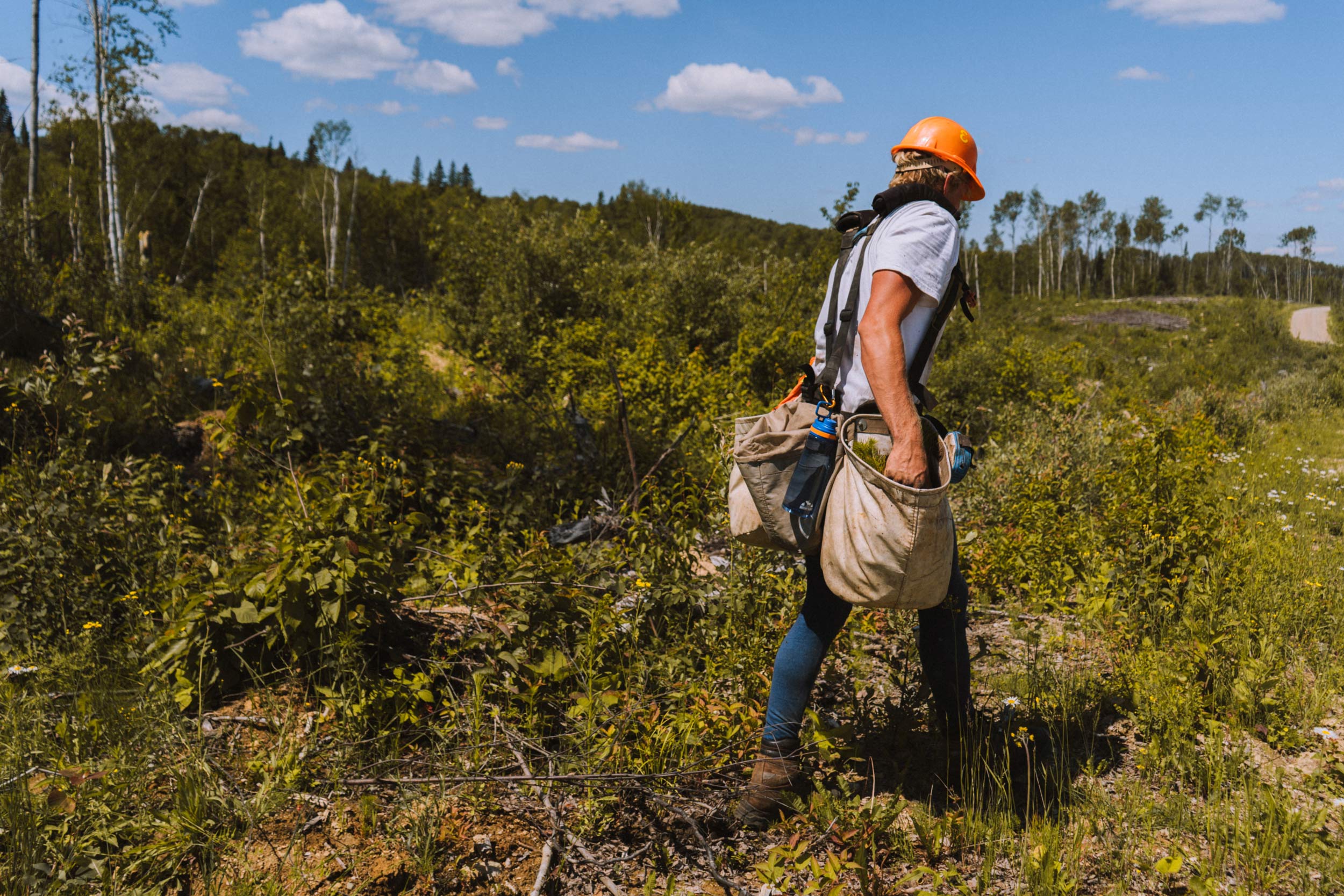 Pre-Season Fitness for Tree Planters – Integrity Reforestation