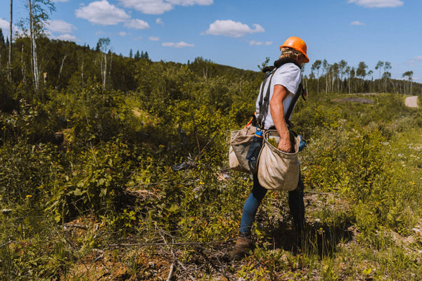 Pre-Season Fitness for Tree Planters