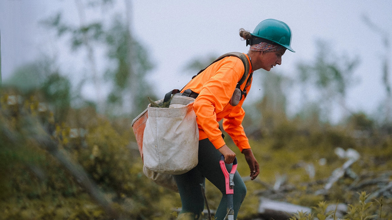 Woman with blue hard hat and orange shirt planting trees