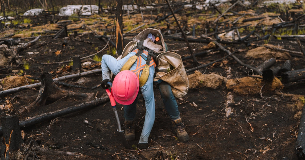Integrity Reforestation | Tree Planting Services